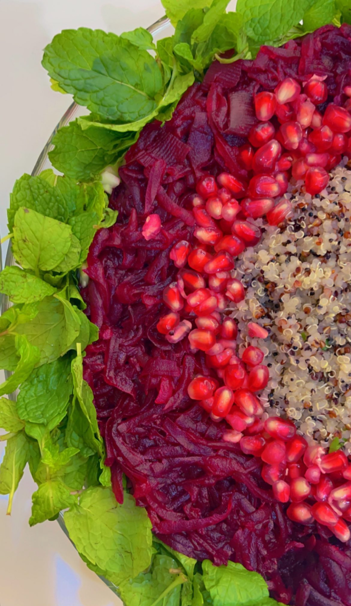 Wellness Consultants